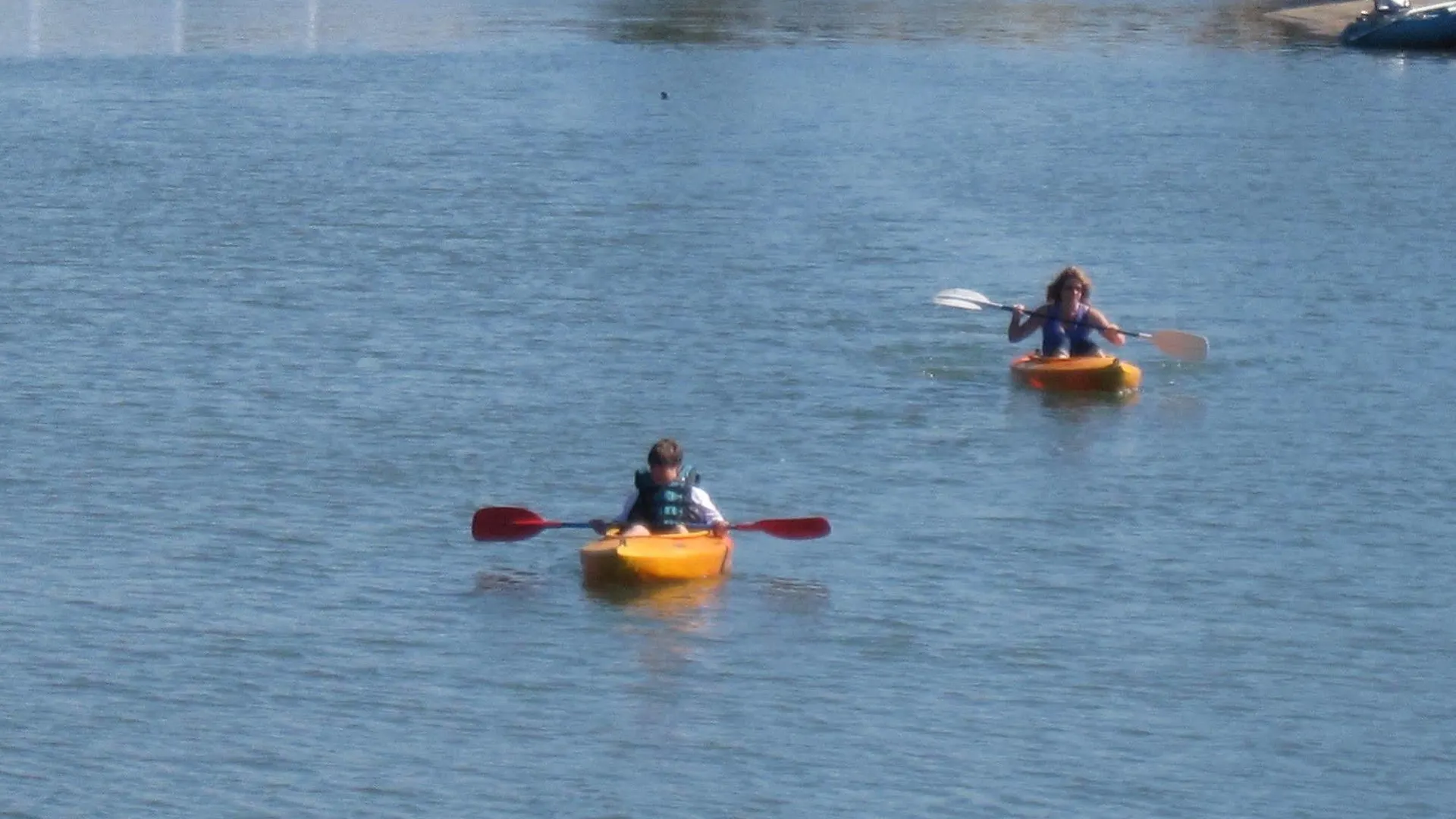 Saltwater Villas - Pet Friendly Accommodation Mooloolaba