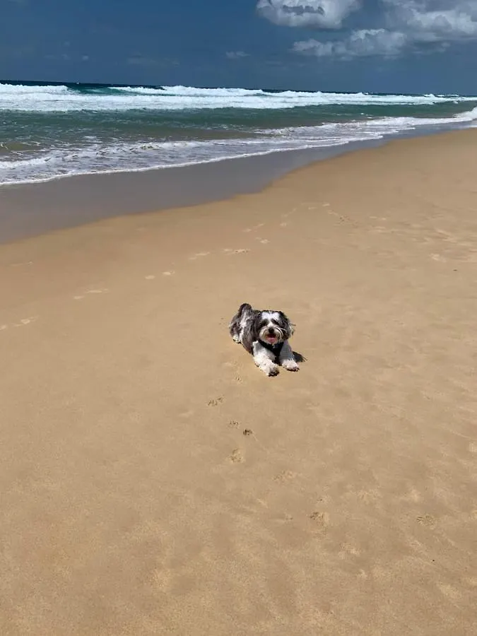 Saltwater Villas - Pet Friendly Accommodation Mooloolaba Resort